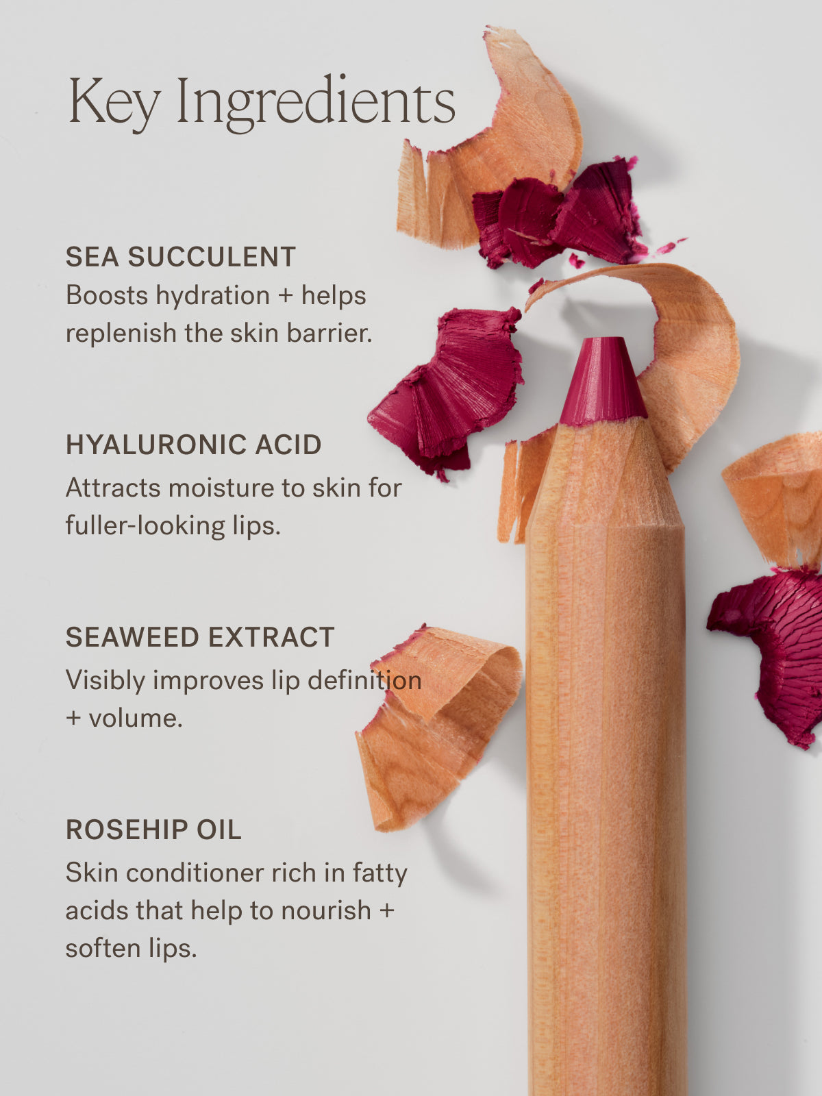 Lip Sketch Hydrating Crayon - Polished Daily Care
