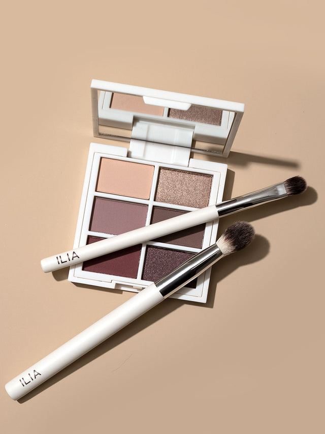 Shadow Brush - Smart Routine Choice